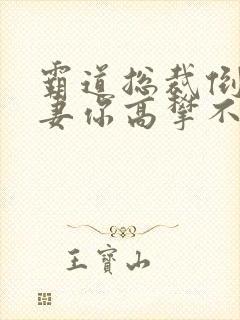 霸道总裁倒追前妻你高攀不起短剧免费观看