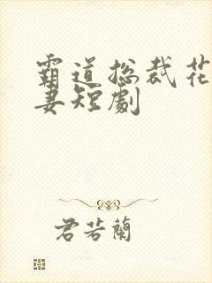 霸道总裁花式宠妻短剧