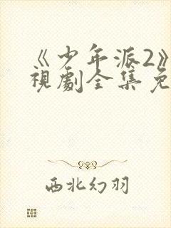 《少年派2》电视剧全集免费