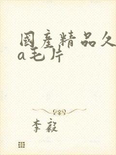 国产精品久久久a毛片封面