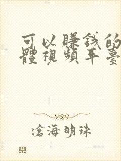 可以赚钱的自媒体视频平台有哪些