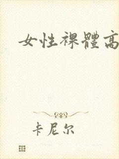 女性裸体高清封面