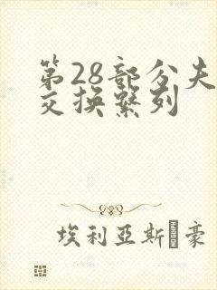 第28部分夫妇交换系列封面