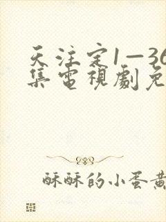 天注定1—36集电视剧免费观看