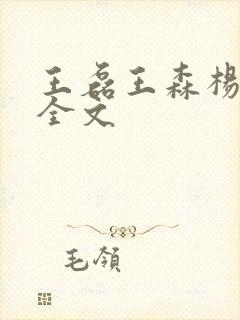 王磊王森杨晓芬全文