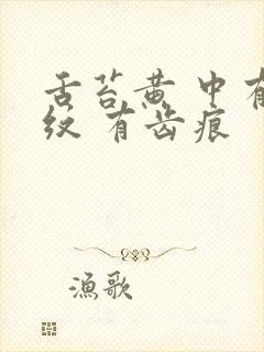 舌苔黄 中有裂纹 有齿痕封面