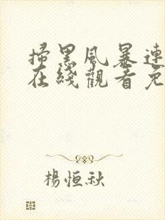 扫黑风暴连续剧在线观看免费完整版封面