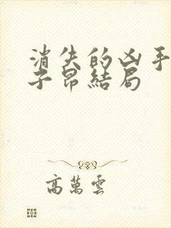 消失的凶手里许子昂结局封面