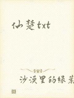 仙楚txt封面