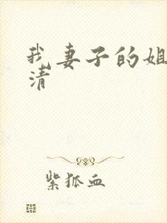 我妻子的姐姐高清封面