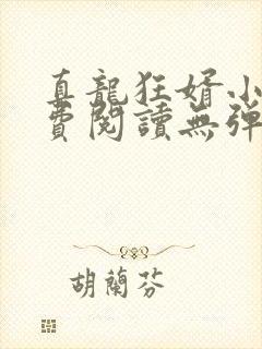 真龙狂婿小说免费阅读无弹窗