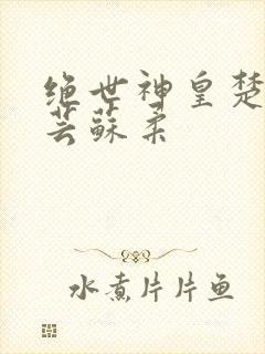 绝世神皇楚风楚芸苏柔