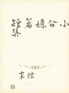短篇媳公小说合集