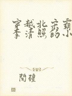 穿越北宋霸占了李清照的小说