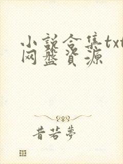 小说合集txt网盘资源