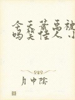 今天萧禹被贬了吗笑佳人 小说 笔趣阁封面