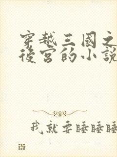 穿越三国之猎艳后宫的小说