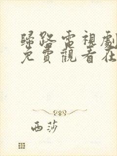 归路电视剧全集免费观看在线播放