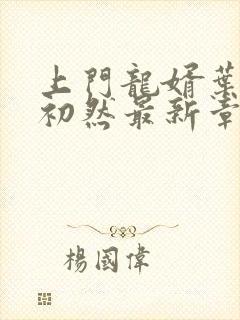 上门龙婿叶辰萧初然最新章节免费阅读