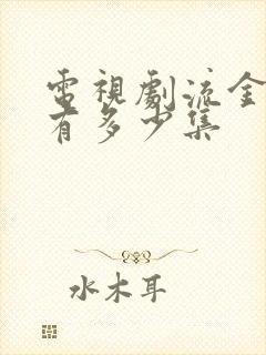 电视剧流金岁月有多少集