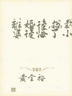 离婚后,总裁老婆后悔了小说完整