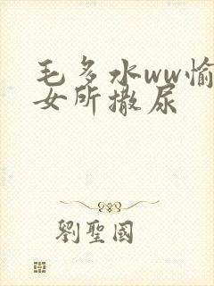 毛多水ww愉拍女所撒尿封面