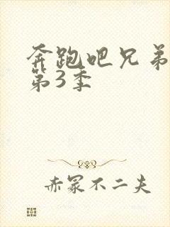 奔跑吧兄弟第季第3季封面