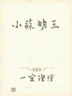 小苏明玉