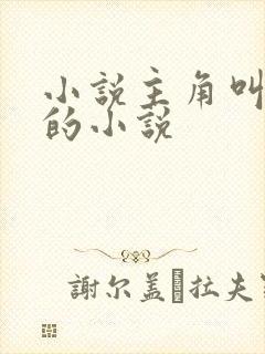 小说主角叫王宣的小说