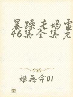 暴躁老妈电视剧46集全集免费播放在线