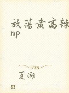 放荡黄高辣h文np