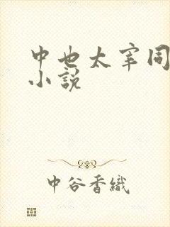 中也太宰同人文小说