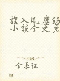 误入风尘的爱情小说全文免费阅读封面