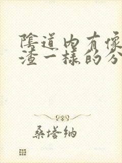 阴道内有像豆腐渣一样的分泌物是怎么回事