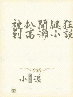 被扒开腿狂躁c到高潮小说