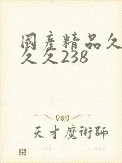 国产精品久久久久久238