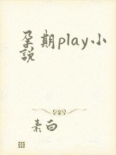 孕期play小说
