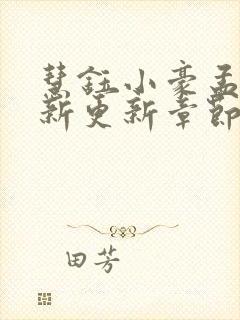 慧钰小豪孟卉最新更新章节