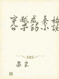 穿越成秦始皇二公子的小说