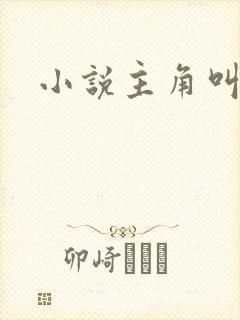 小说主角叫王林封面