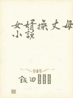 女婿操丈母娘逼小说
