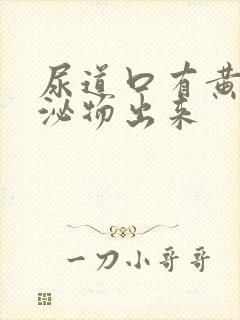 尿道口有黄色分泌物出来封面