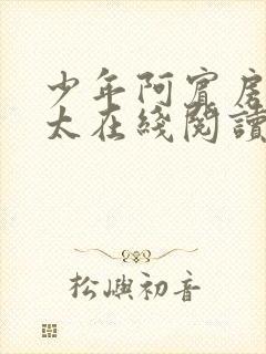 少年阿宾房东太太在线阅读txt