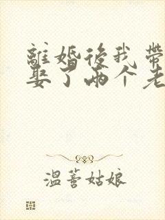 离婚后我带女儿娶了两个老婆小说