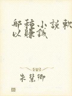 哪种小说软件可以赚钱