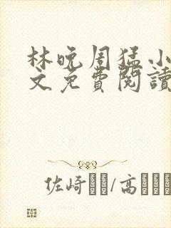 林晚周猛小说全文免费阅读