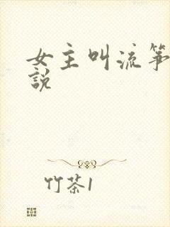 女主叫流筝的小说封面