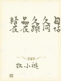 精品久久日日躁夜夜躁网站