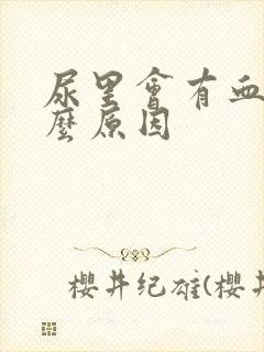 尿里会有血是什么原因