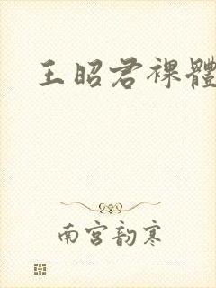 王昭君裸体观看封面